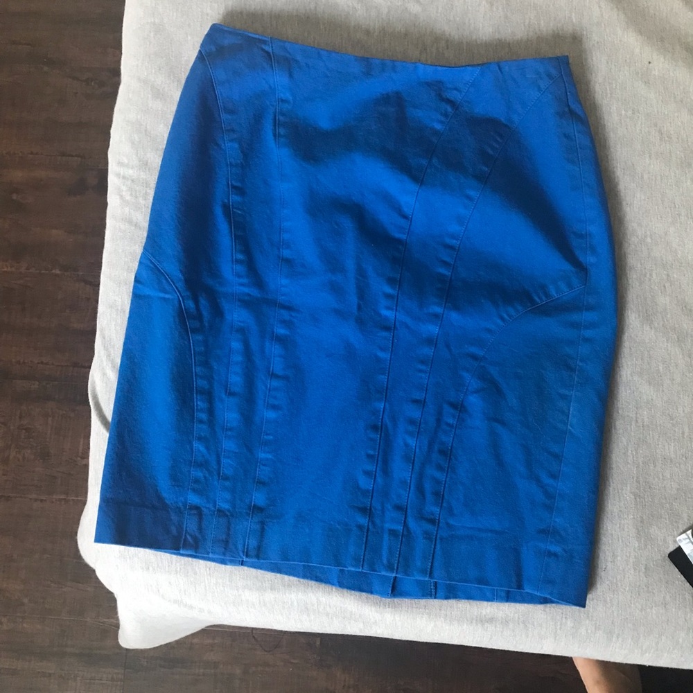 Banana Republic Pencil Skirt